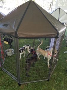 PET GAZEBO®s in use at the Bay Area Pet Fair by the San Francisco-based Rocket Dog Rescue.