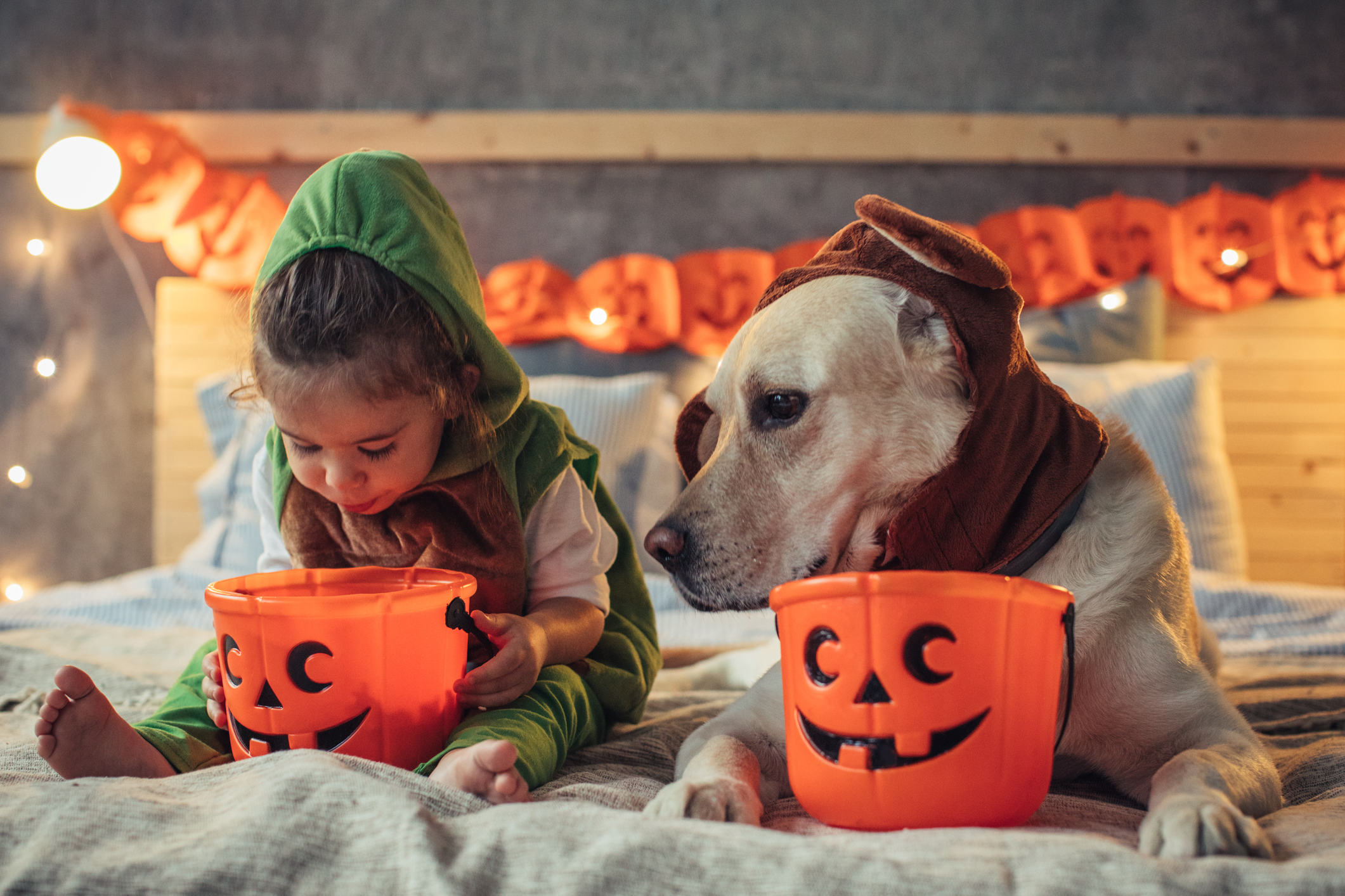 Little girl and his dog in costumes on bed celebrating Halloween