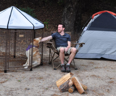 The PET GAZEBO® camping